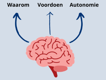 Voordoen Autonomie bewerkt def Voordoen Autonomie bewerkt def
